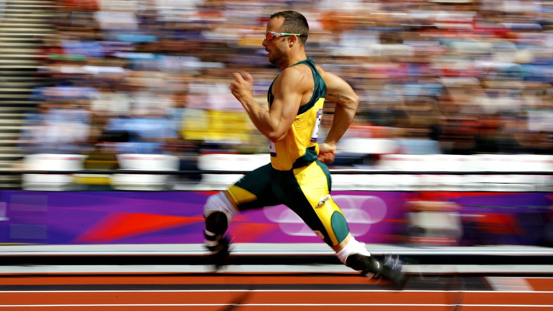 新能源足球场正式投入使用，绿色环保理念彰显，新型足球场